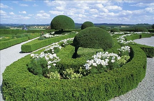 法国,阿基坦,花园,盒子,花