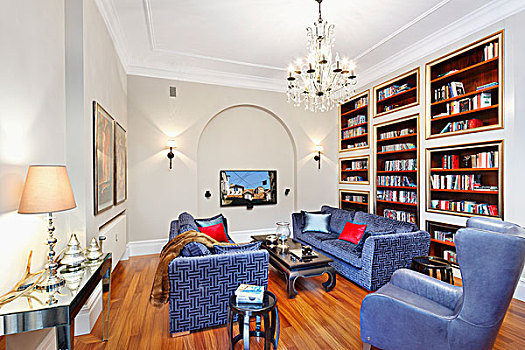 蓝色,沙发,读,扶手椅,皮革,遮盖,靠近,合适,架子,传统,客厅