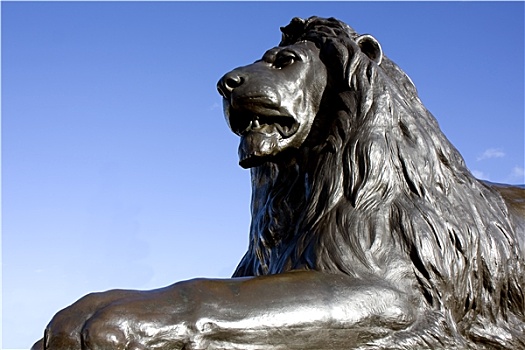 英国狮子图片
