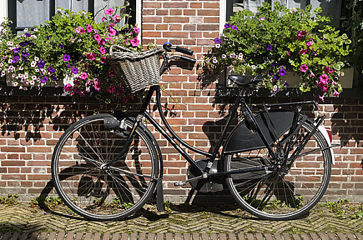 老,自行车,阿姆斯特丹,荷兰