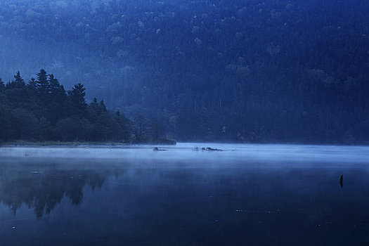 湖,晨雾