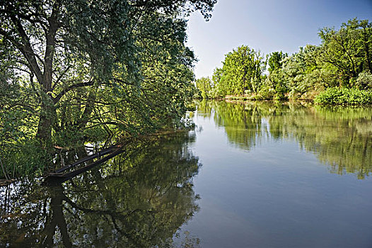 河,自然保护区,巴登符腾堡,德国,欧洲