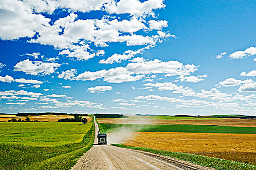 卡车,乡间小路,农田,道路,虎,山,曼尼托巴,加拿大