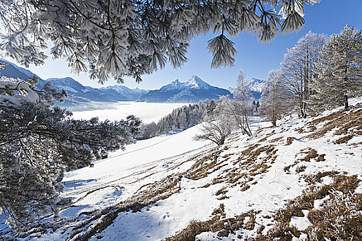 冬季风景,贝希特斯加登阿尔卑斯山,瓦茨曼山,背景,德国