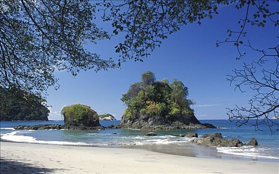 哥斯达黎加,太平洋海岸,海滩,石头,看