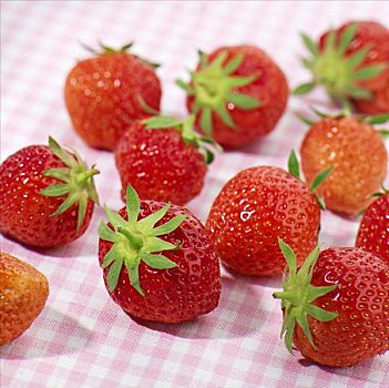 草莓,方格,桌布