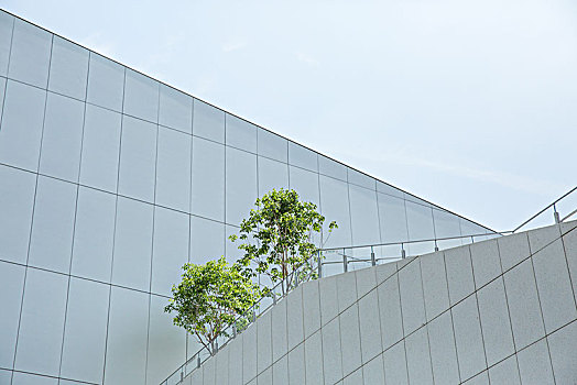 建筑空间绿化