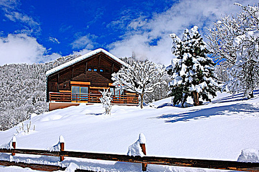 法国,阿尔卑斯山,木房子,雪