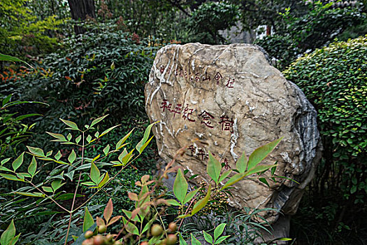 西安大雁塔景区大慈恩寺园林景观