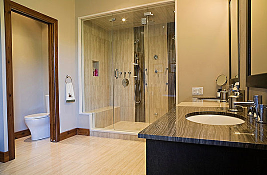 卫生间,一对,蒸汽,玻璃,浴间,魁北克,加拿大