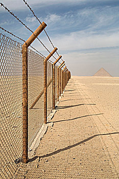 刺铁丝网,金字塔,吉萨金字塔,背景,埃及,非洲