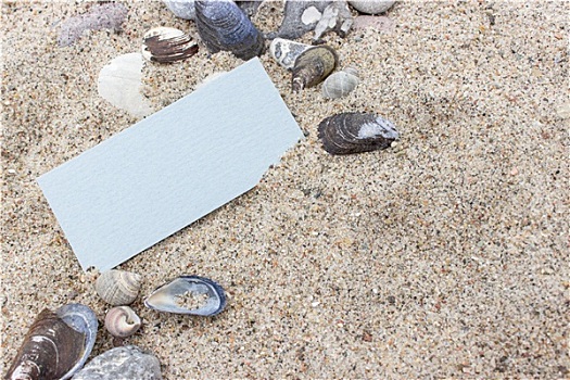 卡片,石头,壳,海滩,沙子