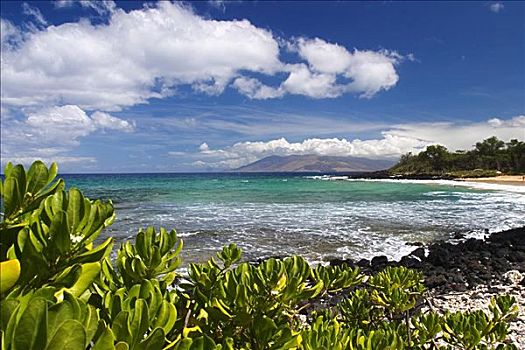 夏威夷,毛伊岛,远景,绿叶,前景