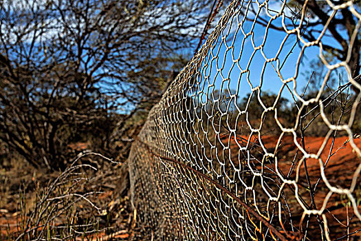 栅栏,西澳大利亚,澳大利亚