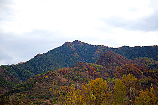 秋天灰蒙蒙的山