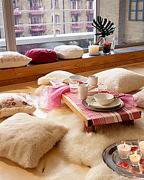 地面,垫子,白色,毛皮,桌子,木质,窗边,背景