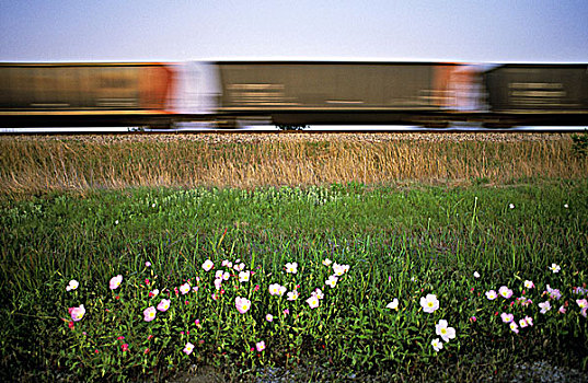 货运列车,模糊,不列颠哥伦比亚省,加拿大
