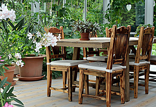 坚实,木桌子,椅子,围绕,盆栽,温室