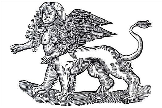 木刻,狮身人面像,生物,长发,胸部,翼,狮子,身体,康拉德,文艺复兴