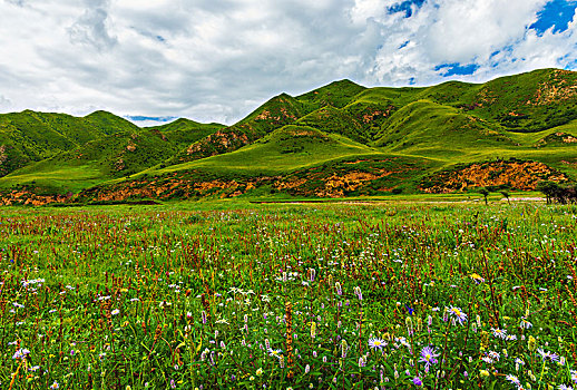 高原草原高山牧场风光