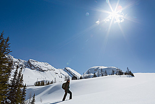 男性,雪地鞋,积雪,山,斜坡,山脉,太阳,蓝天,背景,艾伯塔省,加拿大
