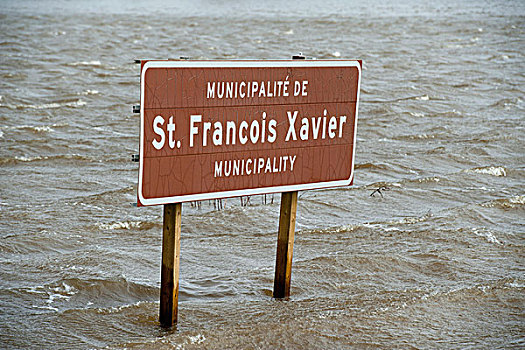 市区,签到,潮水,洪水,曼尼托巴,加拿大