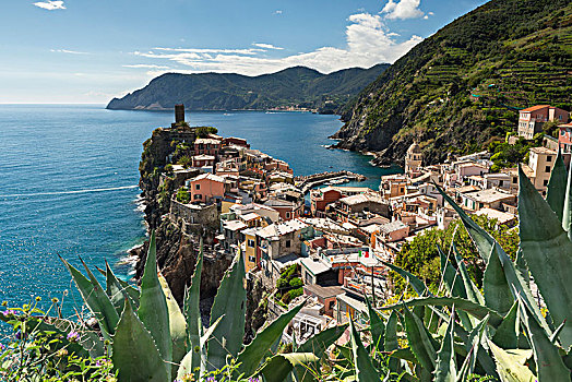 风景,彩色,房子,维纳扎,拉斯佩齐亚,五渔村国家公园,利古里亚,意大利,欧洲