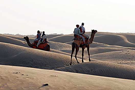 游客,骑,阿拉伯骆驼,单峰骆驼,引导,沙漠,塔尔沙漠,拉贾斯坦邦,印度,亚洲