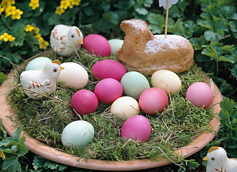复活节草巢,彩色,蛋,幼禽,复活节小羊