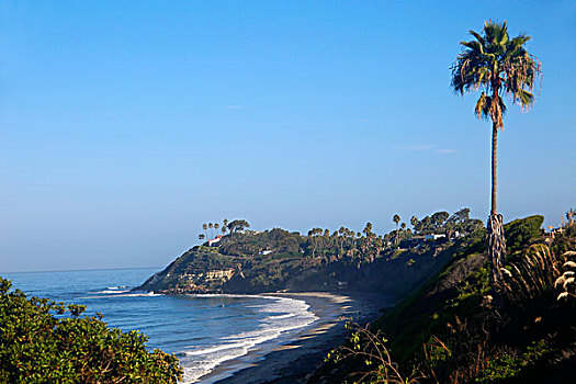 美国,加利福尼亚,加的夫,海洋,海滩,风景