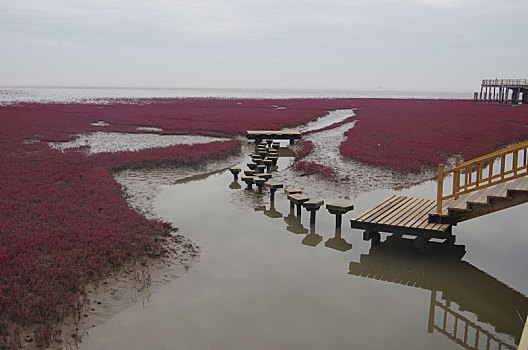 盘锦红海滩