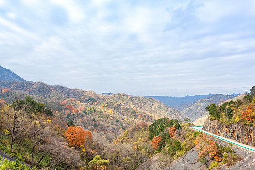 陕西汉中留坝太子岭秋天红叶