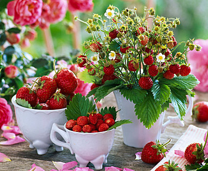野草莓,花束,杯子,草莓属