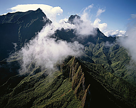 法属玻利尼西亚,塔希提岛,风景,山谷,大幅,尺寸