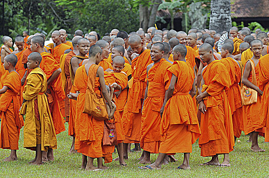 柬埔寨,收获,僧侣,吴哥窟