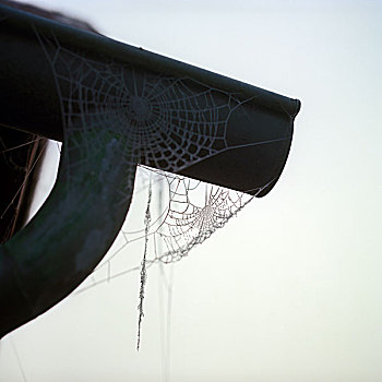 蜘蛛网,屋顶