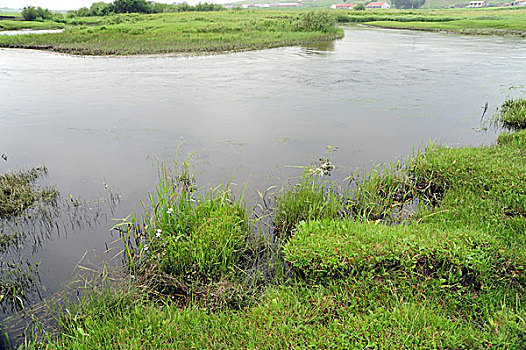 承德,坝上,草原,花海,原野,开阔,河流,植被,牧场