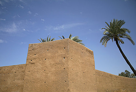 老城,墙壁,棕榈树