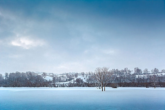 雪景