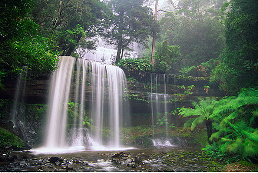 瀑布,地点,国家公园,塔斯马尼亚,澳大利亚