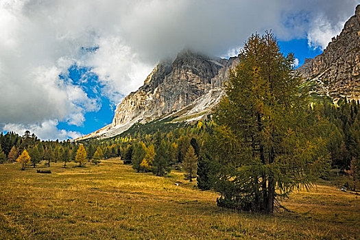风景,秋天,白云岩,意大利阿尔卑斯山