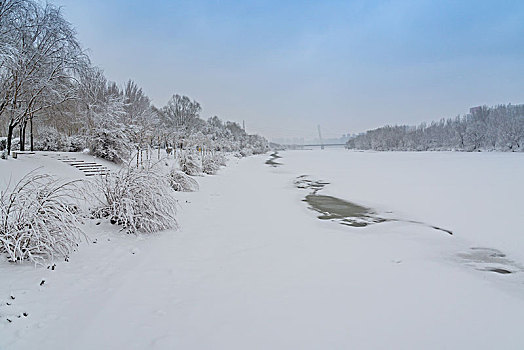 雪地,雾凇,树林,道路