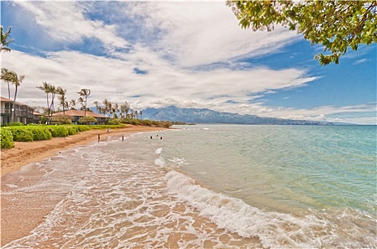 海滩,毛伊岛,夏威夷