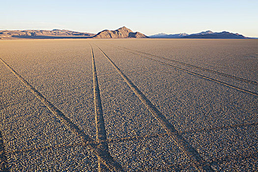 轮胎,干盐湖,盐磐,表面,黑岩沙漠,内华达