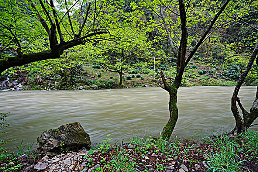 山水,溪流,流水,绿树
