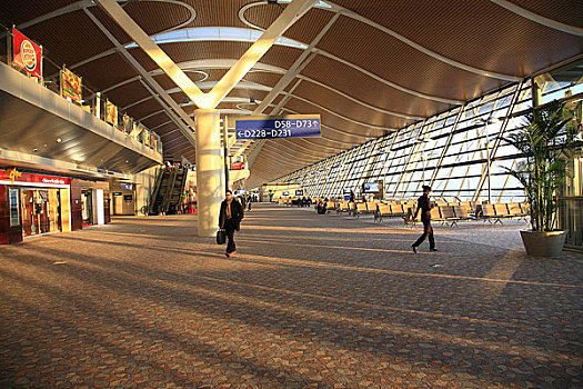 浦东国际机场,航站楼