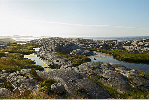 岩石,海岸线,佩姬湾,新斯科舍省,加拿大