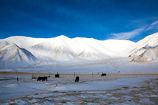 帕米尔高原雪景