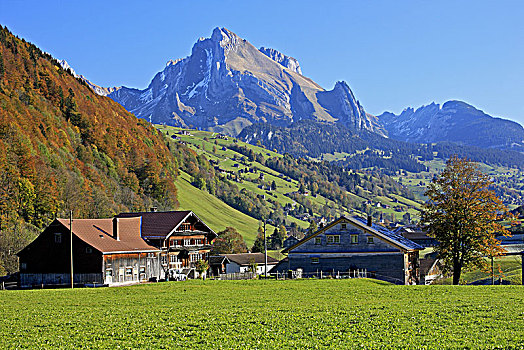 瑞士,阿尔卑斯山,阿彭策尔,山丘
