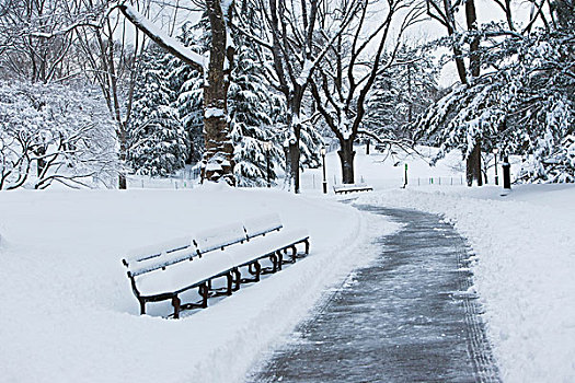 长椅,雪,城市公园
